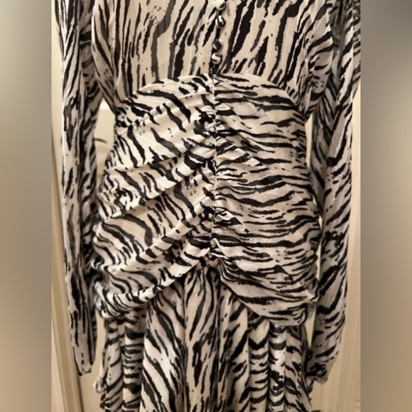 Zebra patterned Dress - Picture 7 of 9